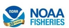 Circle with NOAA and 50 Years across it next to blue text that reads NOAA FISHERIES