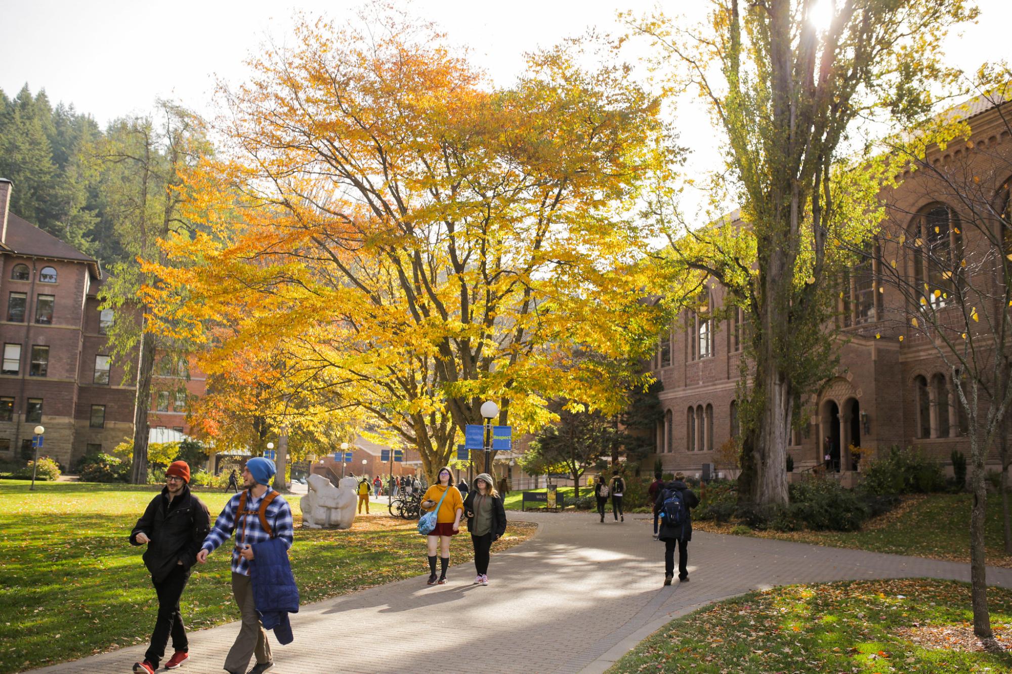 Students walking across campus under trees in fall