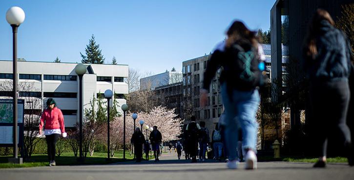Students walking down the sidewalk on south campus towards Parks Hall with pink cherry blossom trees in background